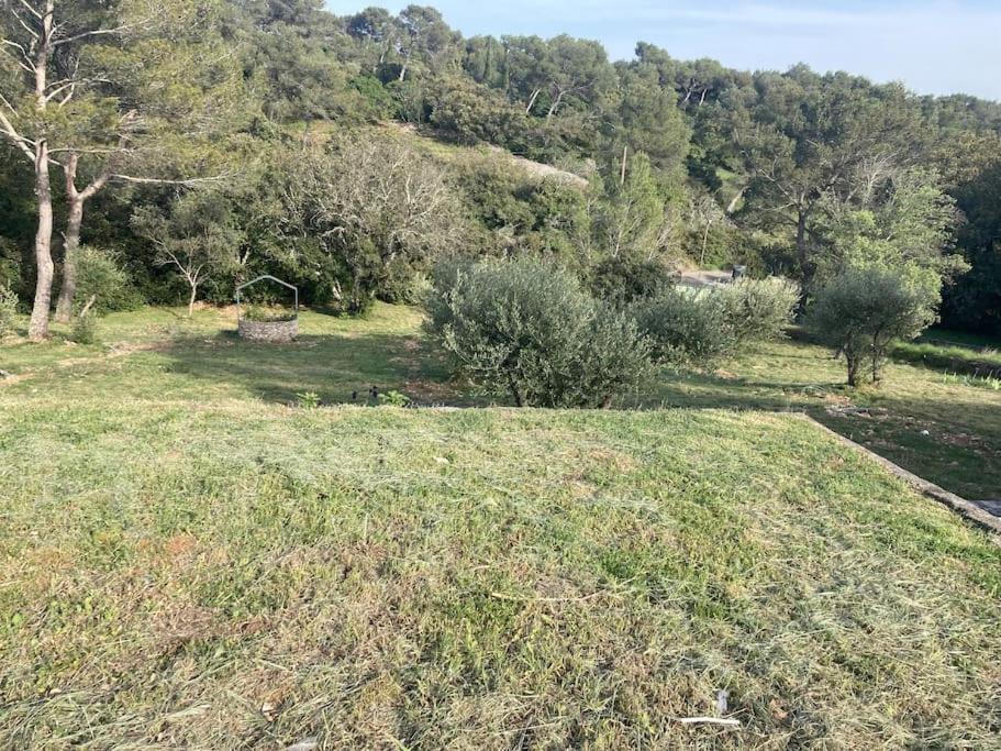 Magnifique Villa De Luxe Au Coeur De La Garrigue Nîmes Zewnętrze zdjęcie